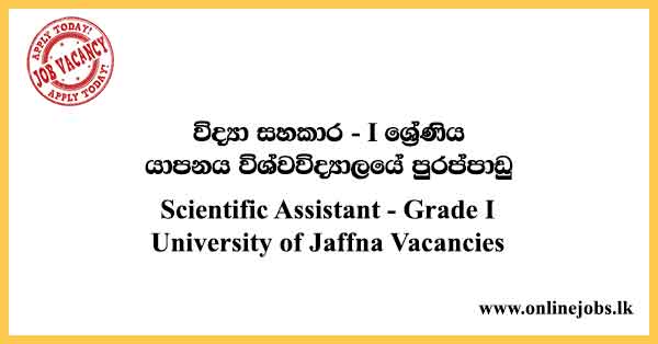 Scientific Assistant