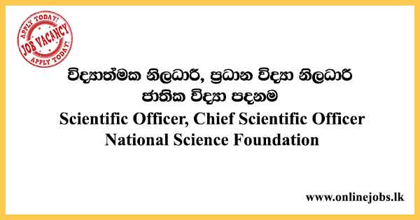 National Science Foundation Vacancies