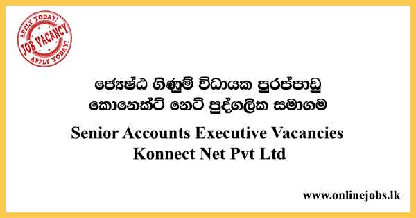 Senior Accounts Executive Vacancies