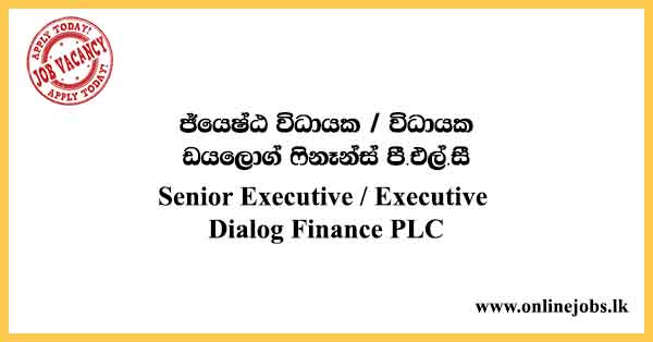 Senior Executive / Executive - Dialog Job Vacancies 2024