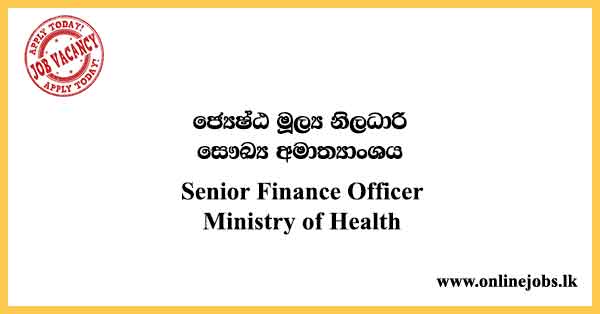 Senior Finance Officer - Ministry of Health Job Vacancies 2024