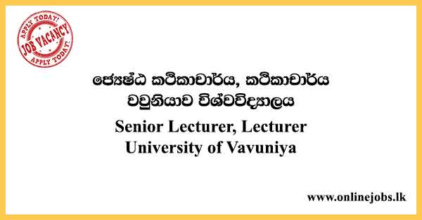 Senior Lecturer, Lecturer - University of Vavuniya Vacancies 2024