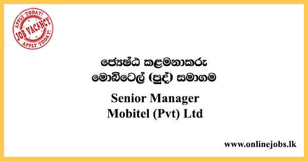 Senior Manager Mobitel