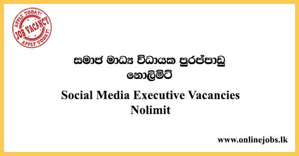 Social Media Executive Vacancies Nolimit