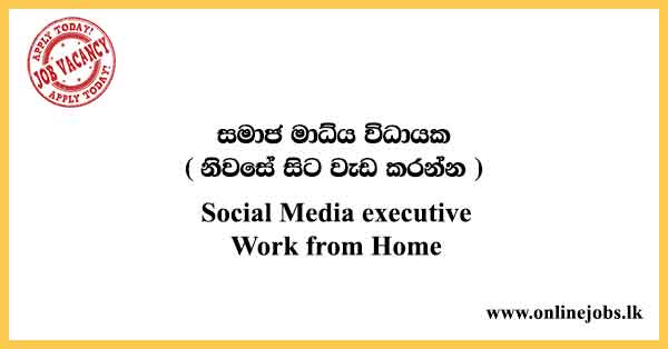 sagrado vacante sutil Social Media executive - Work from Home Job Vacancies