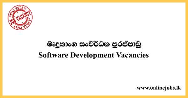 Software Development Vacancies
