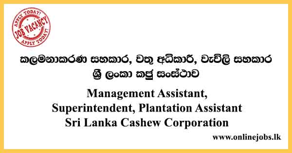Sri Lanka Cashew Corporation