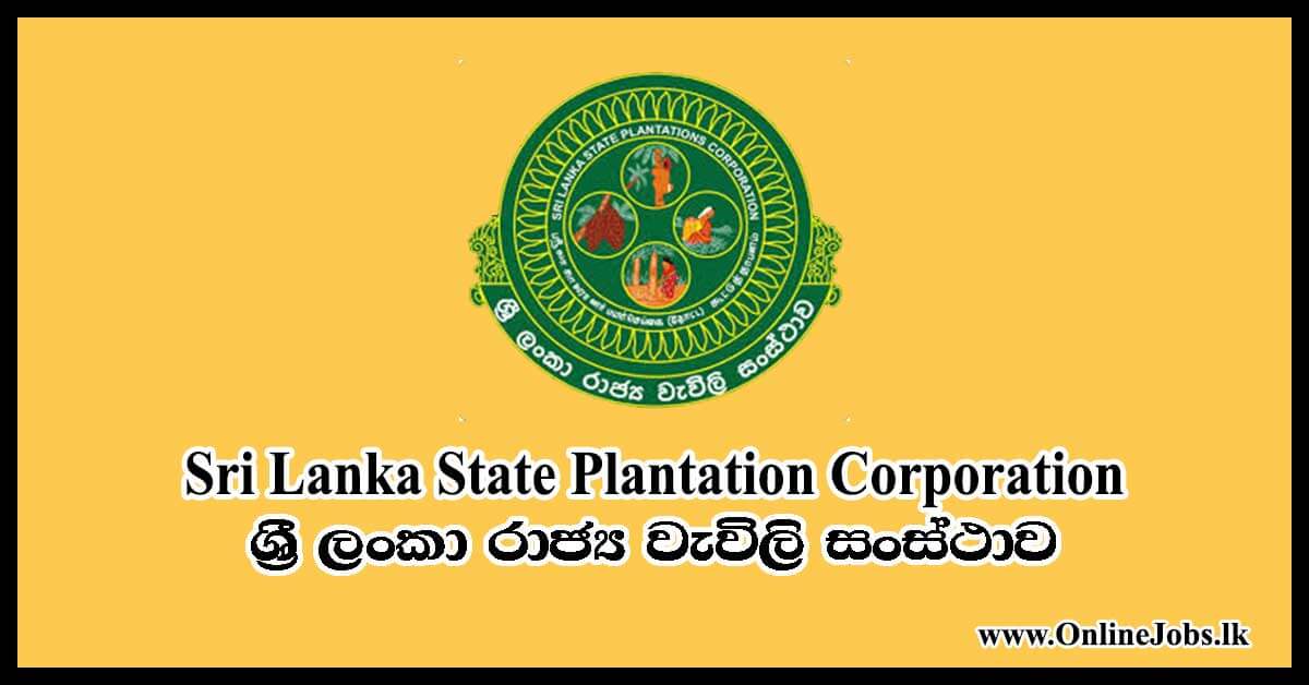 Plantation management jobs in sri lanka