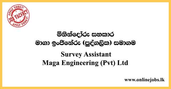 Survey Assistant Maga Engineering