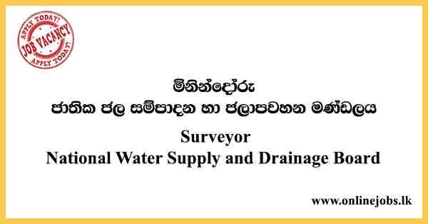 Surveyor National Water Supply and Drainage Board
