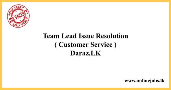 Team Lead Issue Resolution