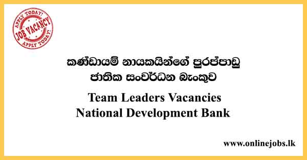 Team Leaders Vacancies National Development Bank
