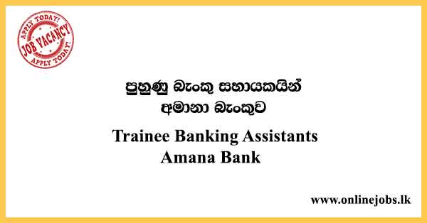 Trainee Banking Assistants Amana Bank