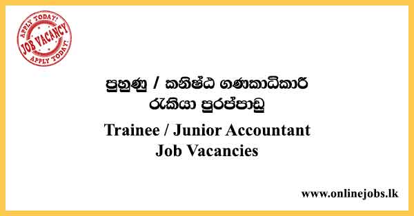 Trainee / Junior Accountant Job Vacancies