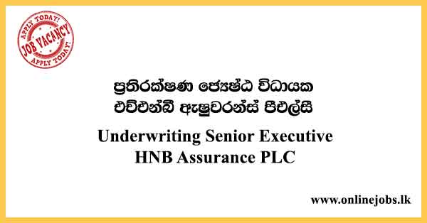 Underwriting Senior Executive