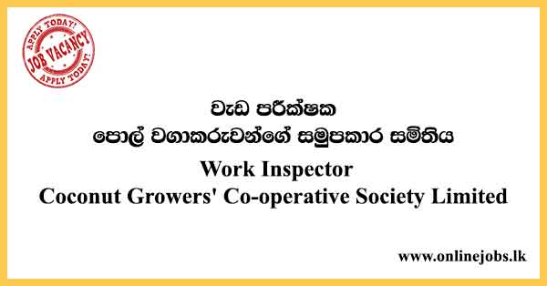 Society Limited Vacancies