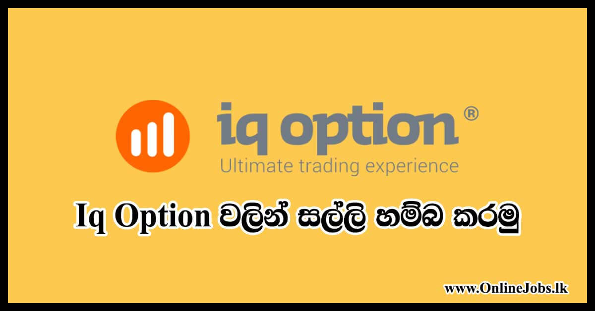 Iq option money make